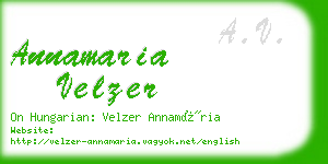 annamaria velzer business card